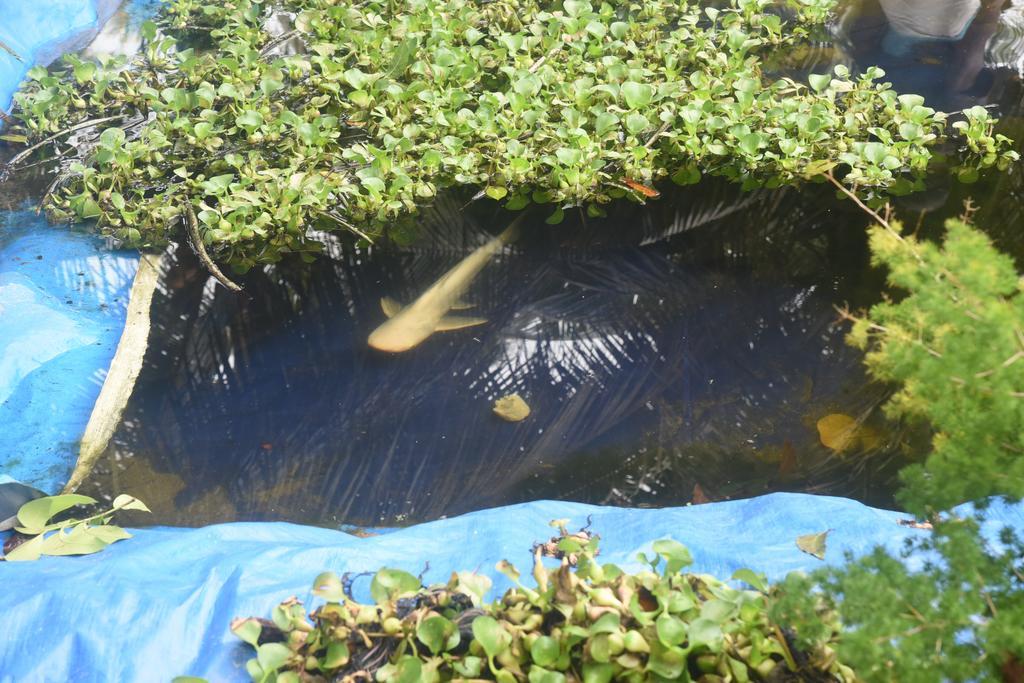 Marari Bethsaida Homestay Shertallai Bagian luar foto