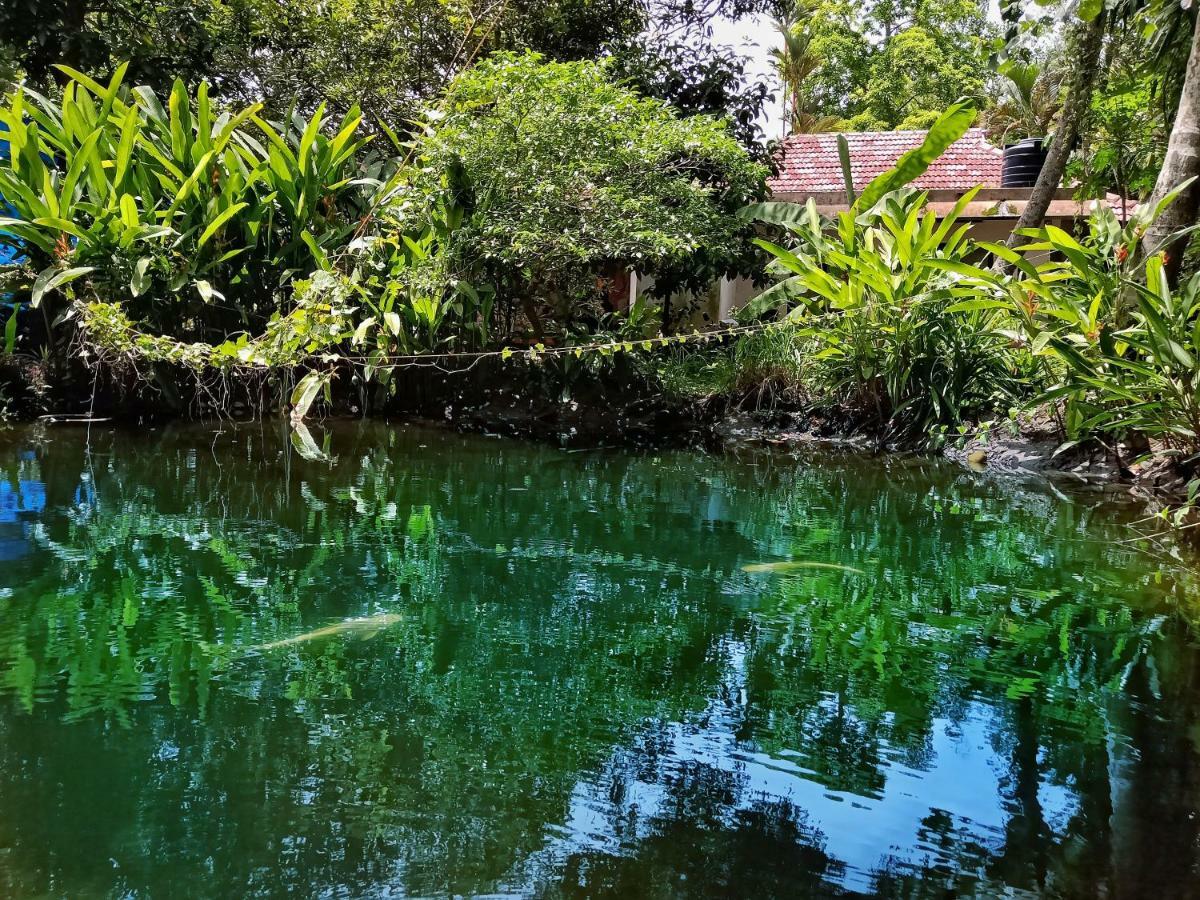 Marari Bethsaida Homestay Shertallai Bagian luar foto
