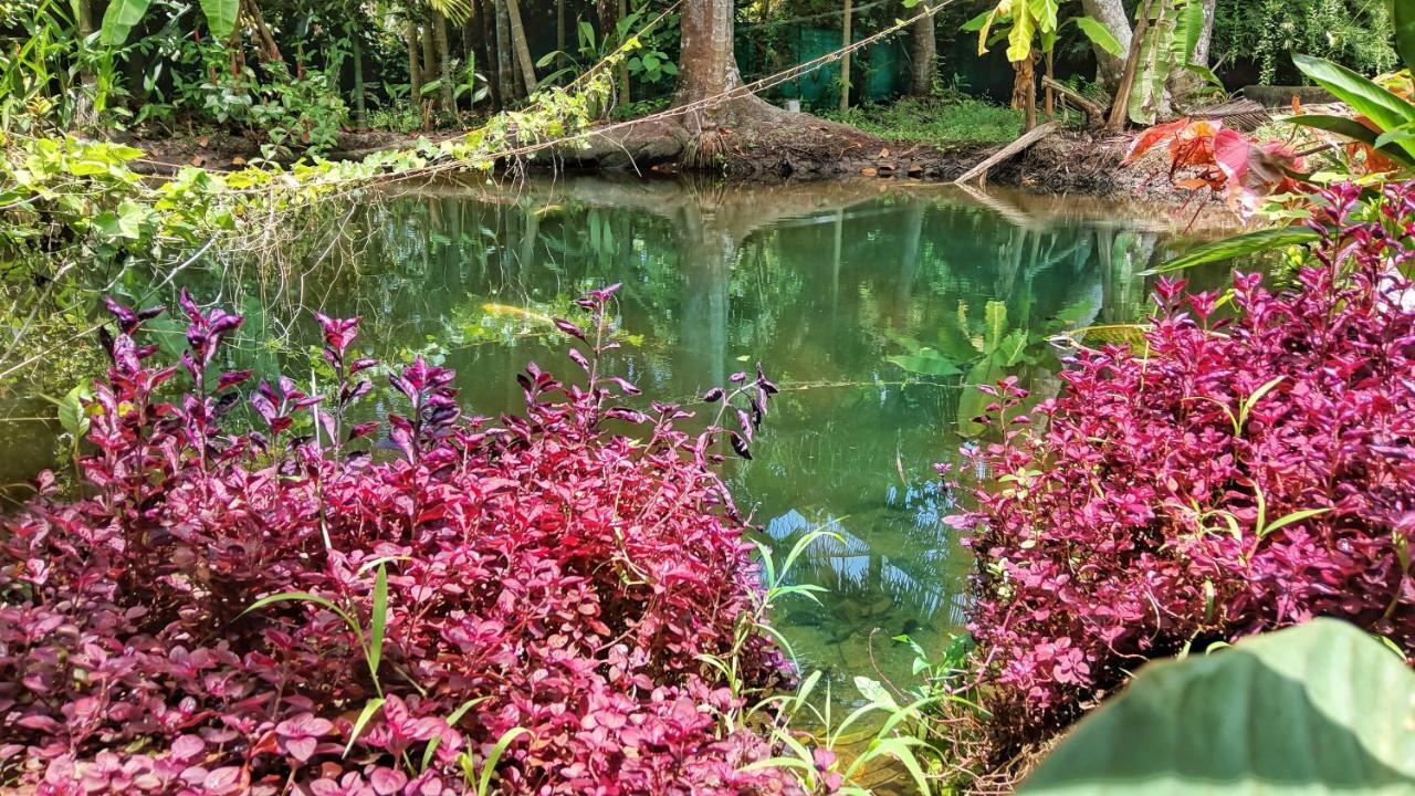 Marari Bethsaida Homestay Shertallai Bagian luar foto