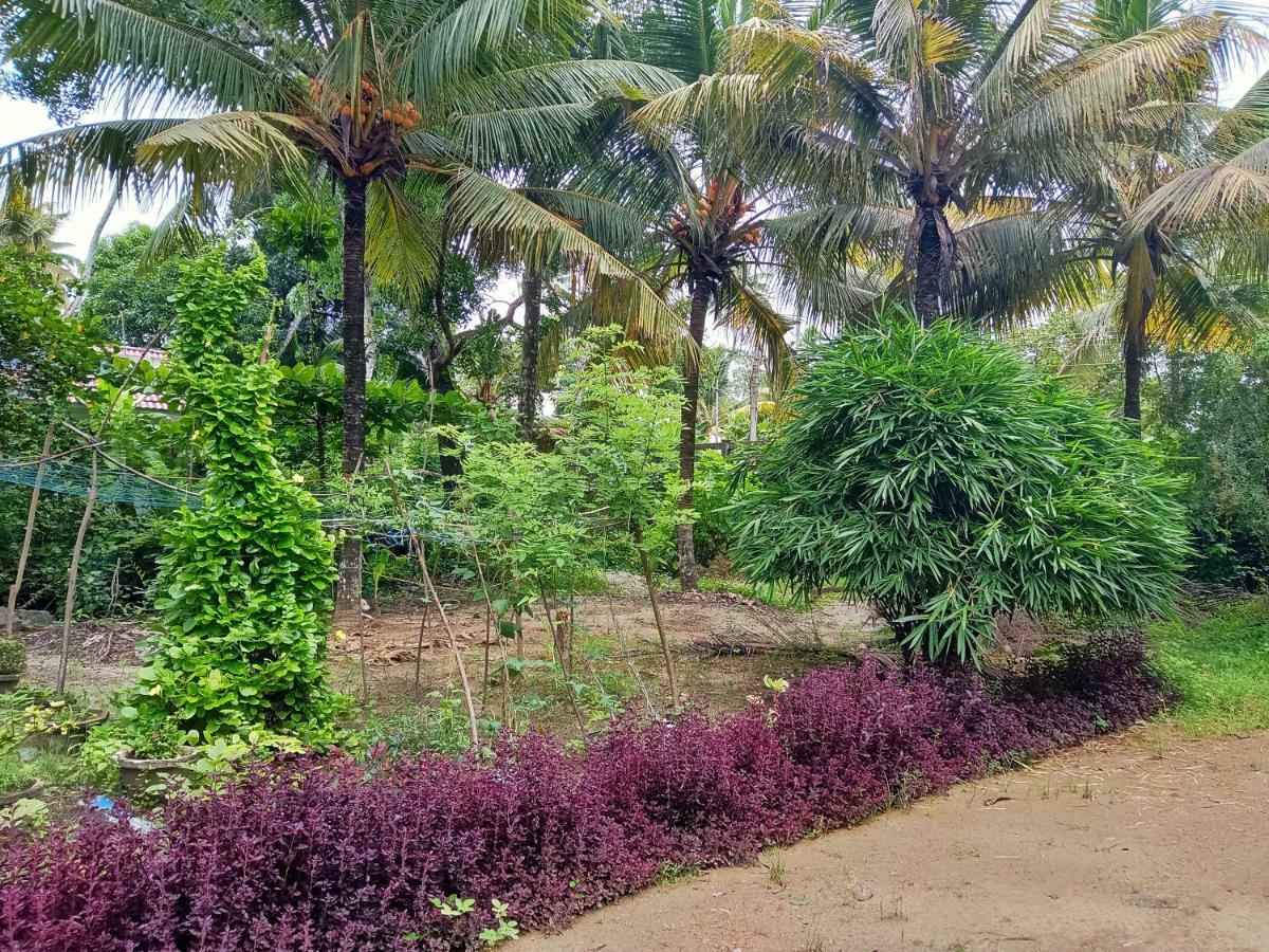 Marari Bethsaida Homestay Shertallai Bagian luar foto