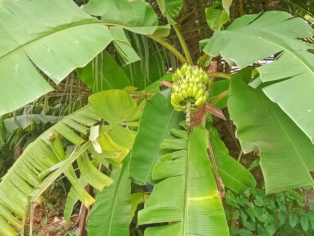 Marari Bethsaida Homestay Shertallai Bagian luar foto