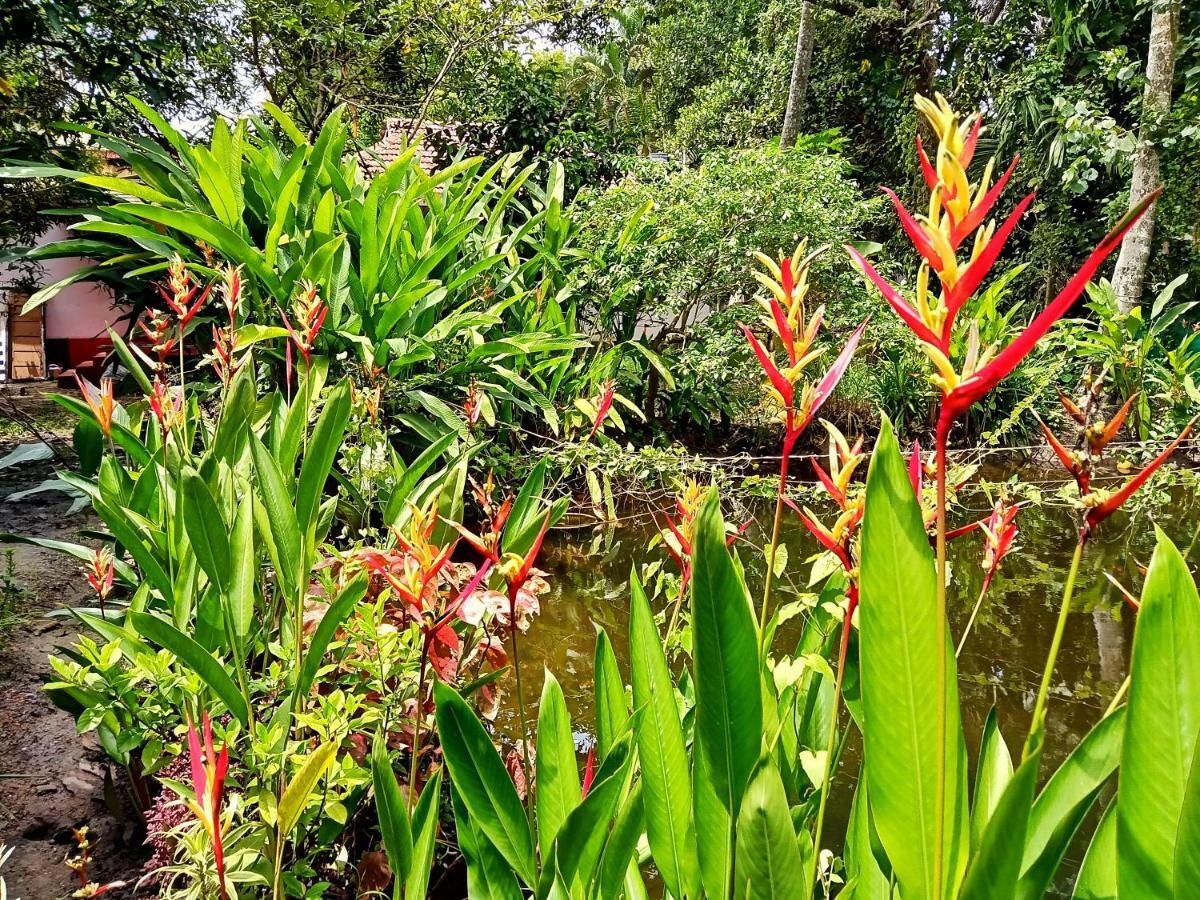 Marari Bethsaida Homestay Shertallai Bagian luar foto