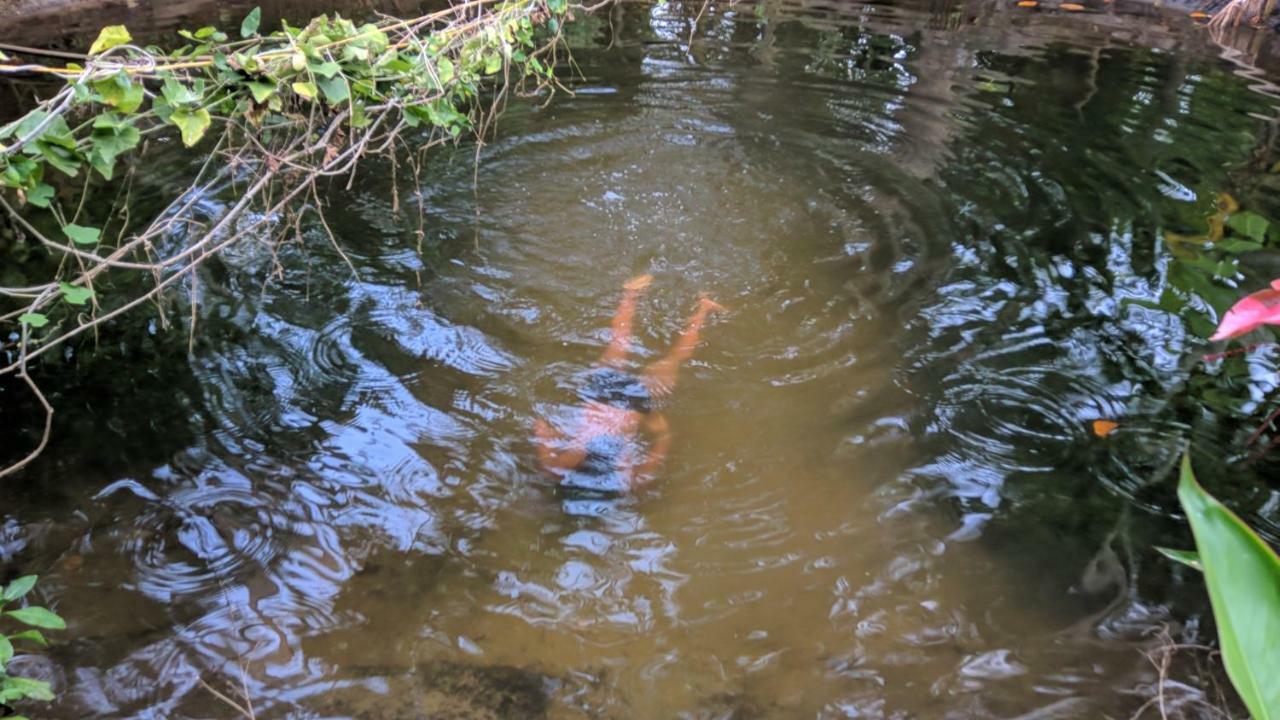 Marari Bethsaida Homestay Shertallai Bagian luar foto